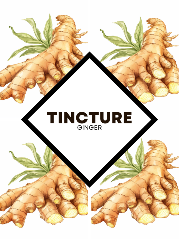 Tincture : Ginger (1000ml) - Image 1