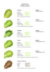 Chashi Matcha | Ceremonial Grade Matcha A Level - Image 3